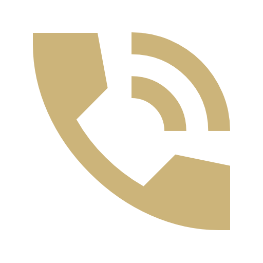 MaterialSymbolsPhoneInTalkSharp